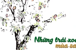 Những trái xoài mùa sau