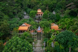 Chùa Linh Sơn Long Đoàn nép mình giữa rừng xanh Tà Cú, mang đến không gian tĩnh lặng và trầm mặc hiếm có