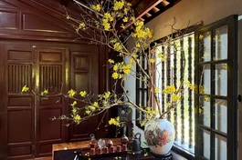 Ảnh: Quảng Điền/BGN