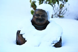 Tuyết tan xuân về