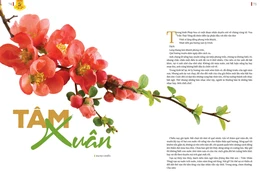 Bài đăng trên giai phẩm Giác Ngộ Xuân Bính Ngọ - 2026 - Thiết kế: Phòng Mỹ thuật BGN/Tống Viết Diễn