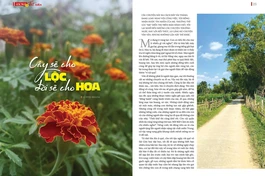 Bài trên Báo Giác Ngộ số 1340 - Thiết kế: Phòng Mỹ thuật BGN/Tống Viết Diễn