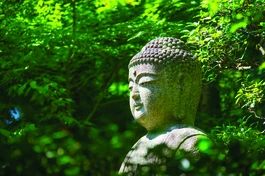 Đức Phật đản sanh: Thánh cách giác ngộ xuất hiện