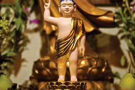 Từ hình tướng sơ sanh đến biểu tượng siêu việt, thanh tịnh của Đấng Giác ngộ, bậc Ly dục