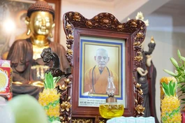 Di ảnh Đại lão Hòa thượng Thích Phổ Tuệ - Đức Đệ tam Pháp chủ GHPGVN