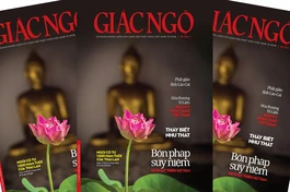 Lào Cai - đơn vị cuối cùng của khu vực phía Bắc tổ chức Đại hội đại biểu Phật giáo nhiệm kỳ 2026-2031