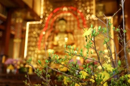 Ảnh: Nguyên Tài/BGN