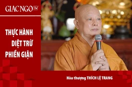 [TRỰC TUYẾN] Hòa thượng Thích Lệ Trang thuyết giảng: "Thực hành diệt trừ phiền giận"