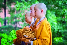 Trăn trở của một người xuất gia