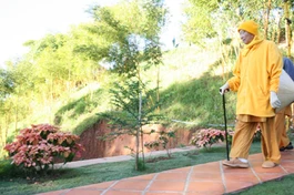 Đường Thiền lối cũ...