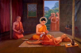 Phương cách đối phó với bệnh tật