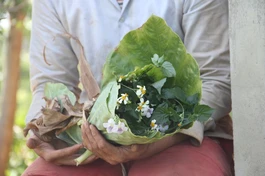 Hạnh phúc đơn sơ: làm điều mình thích - Ảnh minh họa của Châu Văn Long