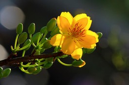 Thông tin từ Tòa soạn