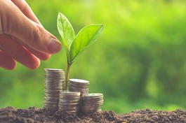 Cần phát huy tuệ giác trong việc an hưởng thành quả lao động của mình - Ảnh minh họa