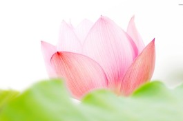 Tình thương tạo nên thiên đường