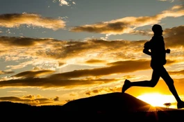 Hành trình đời người, sinh ra không mang gì theo và đến lúc đi cũng vậy, chỉ có nghiệp đã tạo thì theo mình như bóng với hình - Ảnh minh họa