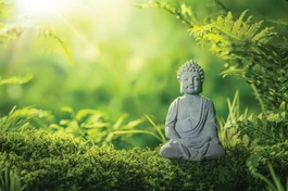 Phật giáo dù đi vào xứ sở nào cũng đều giữ sự khiêm tốn, hội nhập văn hóa bản địa và làm phong phú thêm về nội dung cho nền văn hóa ấy một cách hòa bình - Ảnh minh họa từ internet