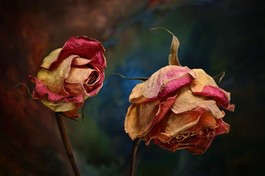 Hiểu đúng về tạo nghiệp sát