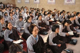 Phật tử đắp y nâu không điều được không?