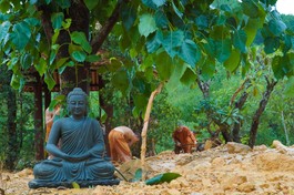 Quý sư chùa Huyền Không Sơn Thượng dọn lại chùa sau lũ bùn làm hư hại cảnh quang - Ảnh: HKST