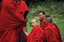 Xuân trong cửa Đạo