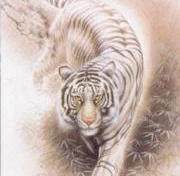 Ngày Xuân nhẩn nha ngẫm chuyện Hổ tướng