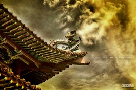 Những mùa xuân yêu thương bên mái chùa