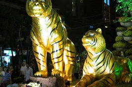 Đêm cuối với đường hoa Nguyễn Huệ