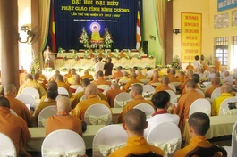 Đại hội Phật giáo tỉnh Bình Dương lần thứ VIII