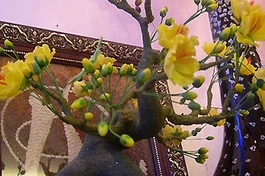 Những mẫu hoa độc đáo làm từ... đất sét