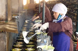 Hành hương đầu năm được đãi cơm miễn phí