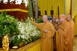 Giáo hội viếng tang Trưởng lão HT.Thích Viên Giác