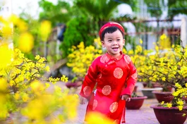 Bốn pháp chúc mừng