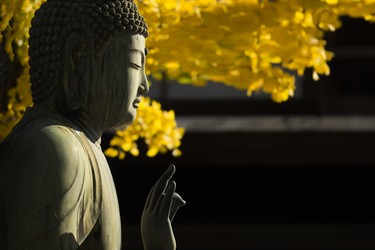 Vô nhân tâm không chỉ là phạm trù tâm lý học, mà còn là chìa khóa mở cánh cửa đạo đức Phật giáo: đạo đức của tự chủ và của chánh niệm