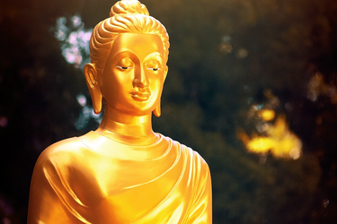 Đạo Phật là con đường chuyển hóa nhân tính từ xấu thành tốt, từ ác sang thiện, cũng đồng nghĩa là đường hướng xây dựng đạo đức và hạnh phúc cho tự thân và cho cuộc đời - cơ bản là sự chuyển hóa hay tịnh hóa ba nghiệp thân, khẩu, ý