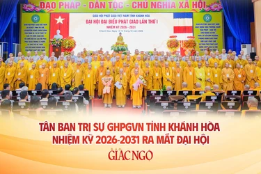 Ảnh: Tâm Quý - Thiết kế: Nguyện Truyền/BGN