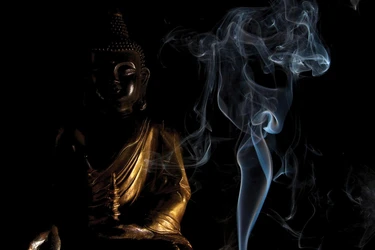 Bài đăng trên giai phẩm Giác Ngộ Xuân Bính Ngọ - 2026 