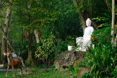 Kinh Nhất dạ hiền giả không chỉ nêu lên vấn đề, mà còn chỉ rõ phương pháp thực tiễn để an trú hiện tại. Tinh thần ấy được diễn đạt qua ba yếu tố chánh niệm, tỉnh giác, và tuệ quán - Ảnh: Huyền Không Sơn Thượng