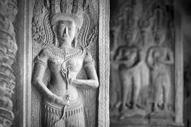 Từ Tương ưng rừng cho đến Tương ưng dạ-xoa trong kinh Tương ưng bộ, ta có thể rút ra nhận định rằng: Dù ở bất cứ môi trường nào, thành thị, nông thôn hay nơi hoang vắng thì đều có sự cư trú của các vị thiên hoặc dạ-xoa