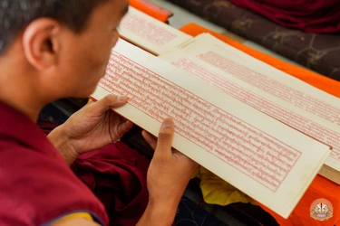 Kinh Pháp hoa giữ một vị trí quan trọng trong lịch sử và văn hóa Phật giáo Tây Tạng. Được dịch chính thức vào thời kỳ Tây tạng đế quốc, kinh Pháp hoa đã được sao chép và tôn kính như một phần của tạng Kanjur, tạng kinh bằng Tạng ngữ