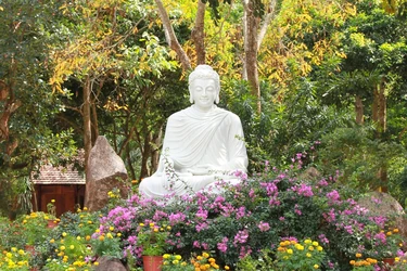 Chánh niệm có thể giúp chúng ta hiện diện trọn vẹn trong một thế giới đầy phân tâm và cảm thấy thoải mái hơn trong cơ thể và cuộc sống của mình - Ảnh: Lê Ngọc