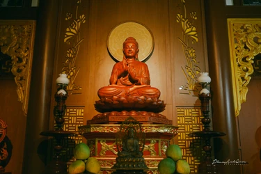 Tỳ-kheo cũng như thế, sống quán niệm thân trên thân, đoạn trừ tất cả Thượng phần phiền não, khéo thu nhiếp tâm, nội tâm dừng lặng, chánh niệm tỉnh giác, được bốn thứ tâm pháp tăng thượng, trụ an lạc trong pháp hiện tại, đạt được điều chưa đạt là Niết-bàn an ổn - Ảnh: Phùng Anh Quốc