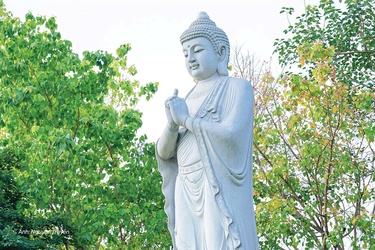 Ảnh: Nguyện Truyền/BGN