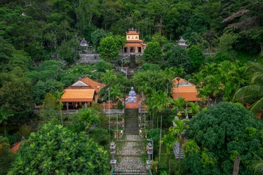 Chùa Linh Sơn Long Đoàn nép mình giữa rừng xanh Tà Cú, mang đến không gian tĩnh lặng và trầm mặc hiếm có