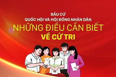 Những điều cần biết về cử tri