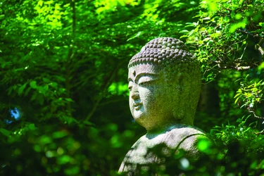 Đức Phật đản sanh: Thánh cách giác ngộ xuất hiện
