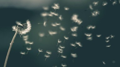 Tập khí nặng nề nhất của chúng sinh là chấp thủ tự ngã, rằng có một cái tôi thường hằng, có linh hồn trường cửu bất diệt