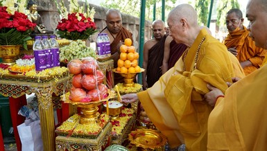 Trưởng lão Hòa thượng Thích Trí Quảng thắp đèn cúng Phật dưới cội Bồ-đề ở Bồ Đề Đạo Tràng, nơi Đức Thế Tôn thành đạo - Ảnh: Hoàng Độ