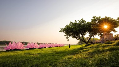 7 đóa sen khổng lồ mừng Phật đản đã được tập kết bên bờ sông Hương ở cố đô Huế