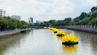 7 đóa sen vàng vừa được hạ thủy trên kênh Nhiêu Lộc - đoạn trước Quan Âm tu viện, quận Phú Nhuận - Ảnh: QÂTV